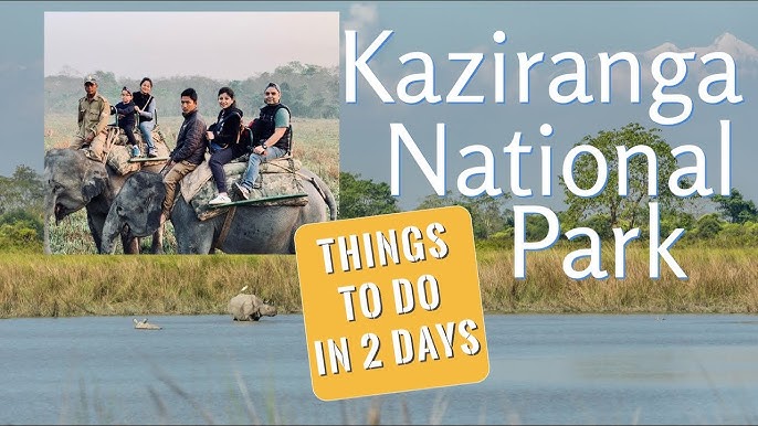 What are the important benefits of planning a trip to the Kaziranga Area?